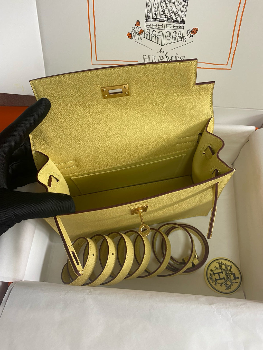 Hermès Jaune Poussin Kelly Danse Bag Evercolour Leather Gold Hardware